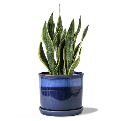 Chubacoo 8 Inch Plant Pot: Ceramic Planter With Drainage Hole & Saucer - Gradient Blue Flowerpot for Indoor & Outdoor Plants With Separate Tray