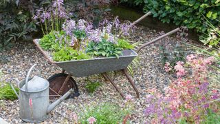 Planted wheelbarrow