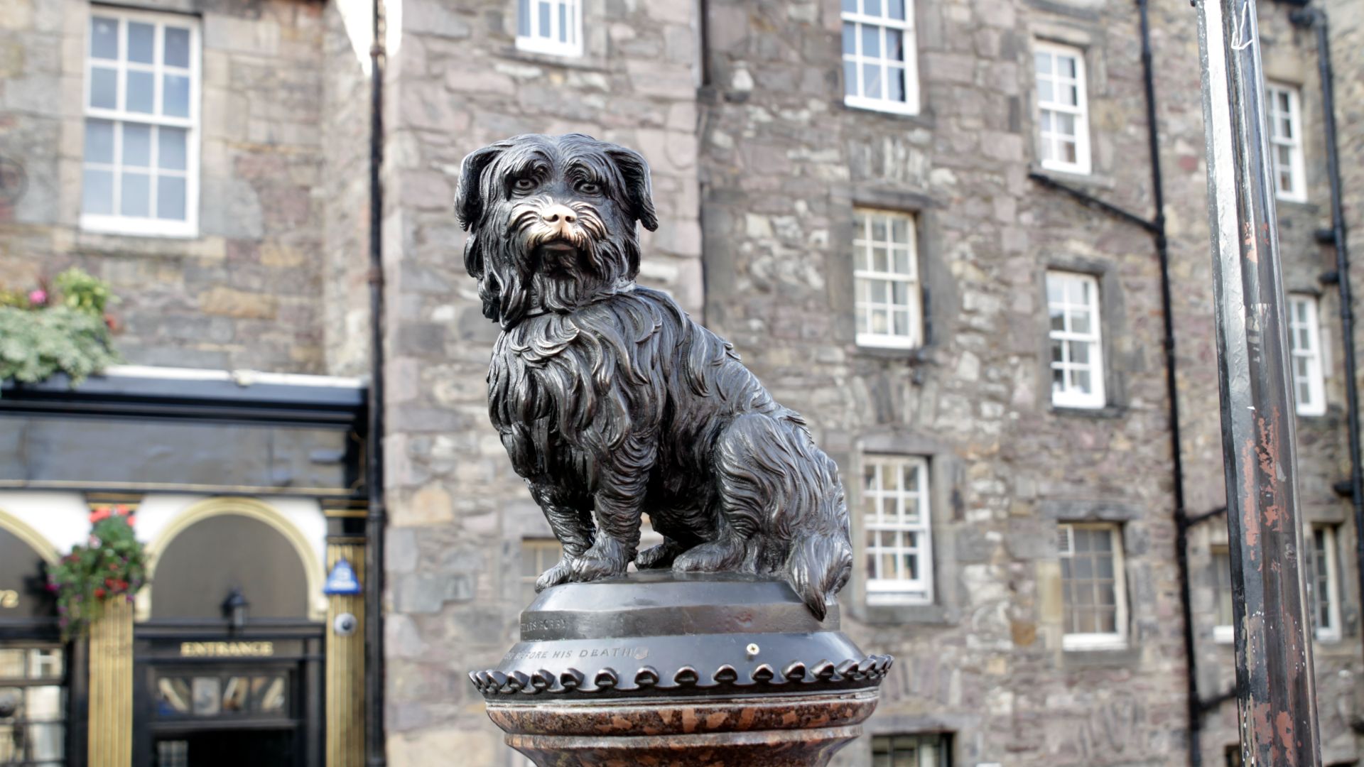 statue of greyfriars bobby, the nose is gold