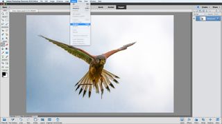 Let Photoshop automatically select your subjects