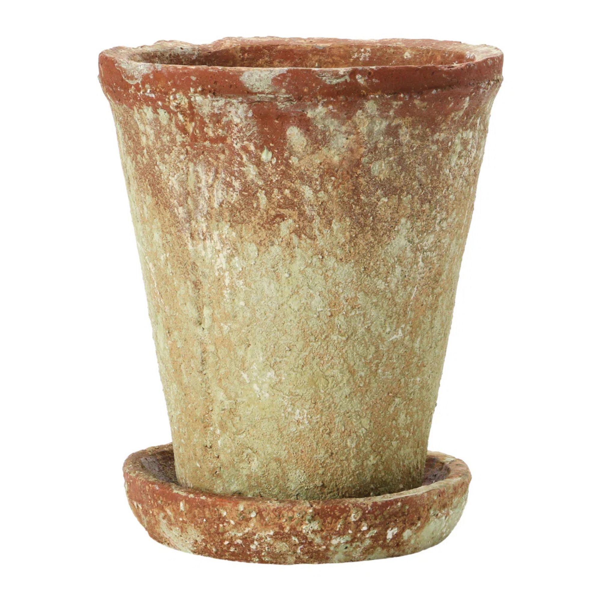 Rustic terracotta pot with saucer