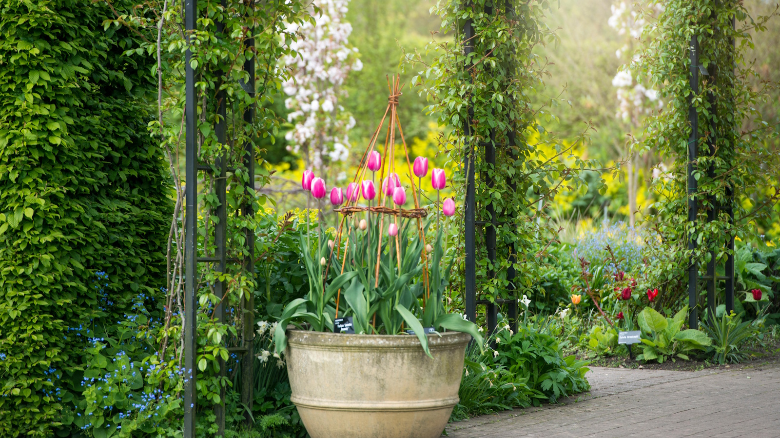 What to never use to fill the bottom of a large planter