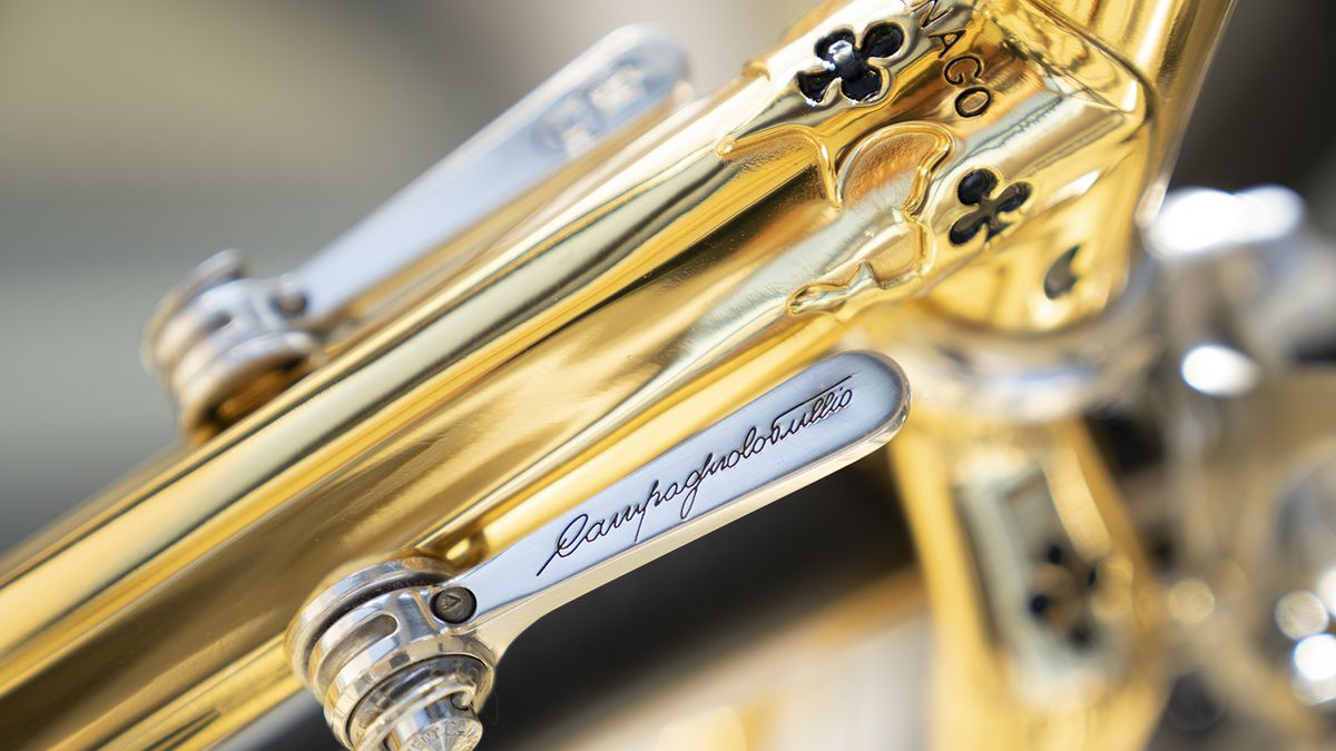 Here you can see the detailed lugging alongside the Campagnolo down tube shifters
