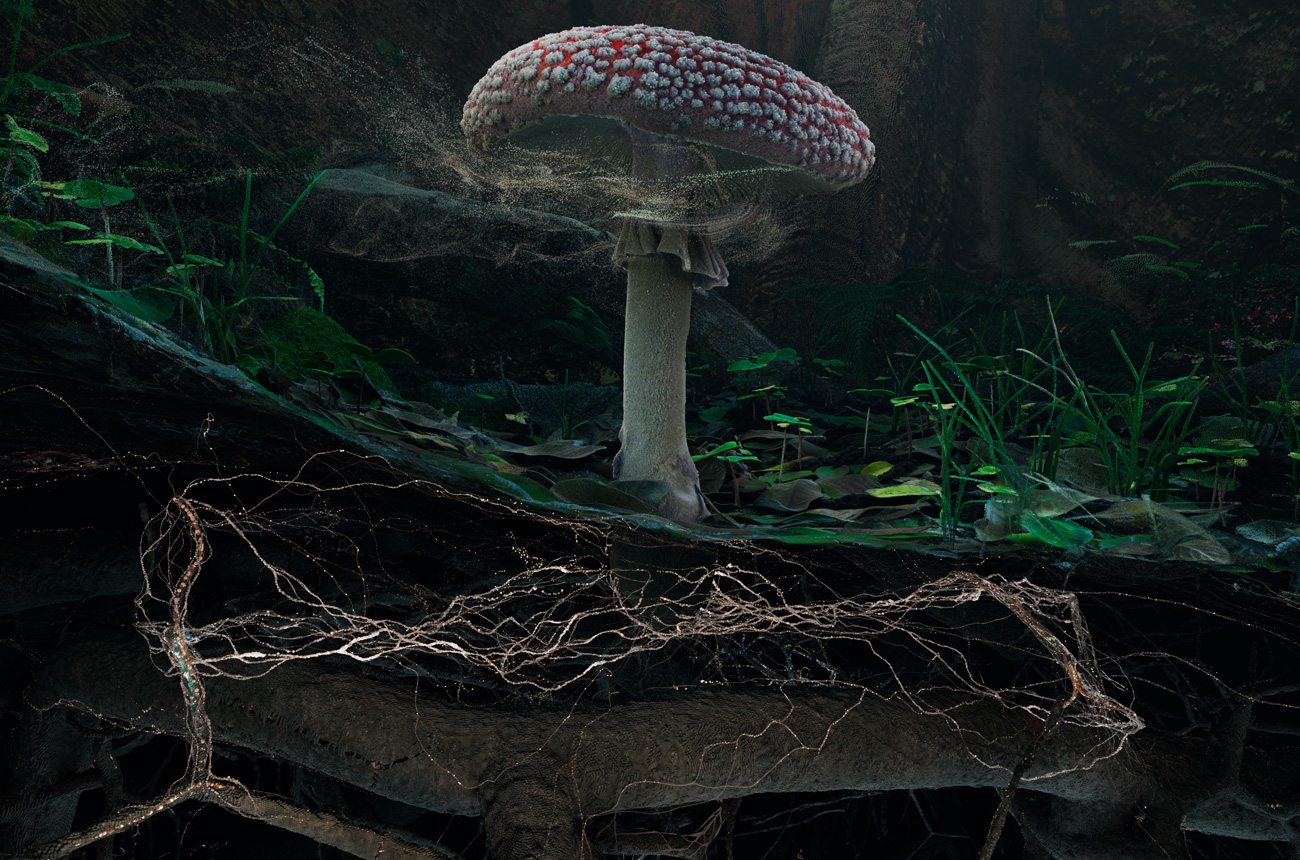 SOIL_Fly-Agaric-detail_Marshmallow-Laser-Feast.jpg