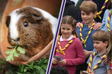 Prince George, Princess Charlotte and Prince Louis with guinea pig