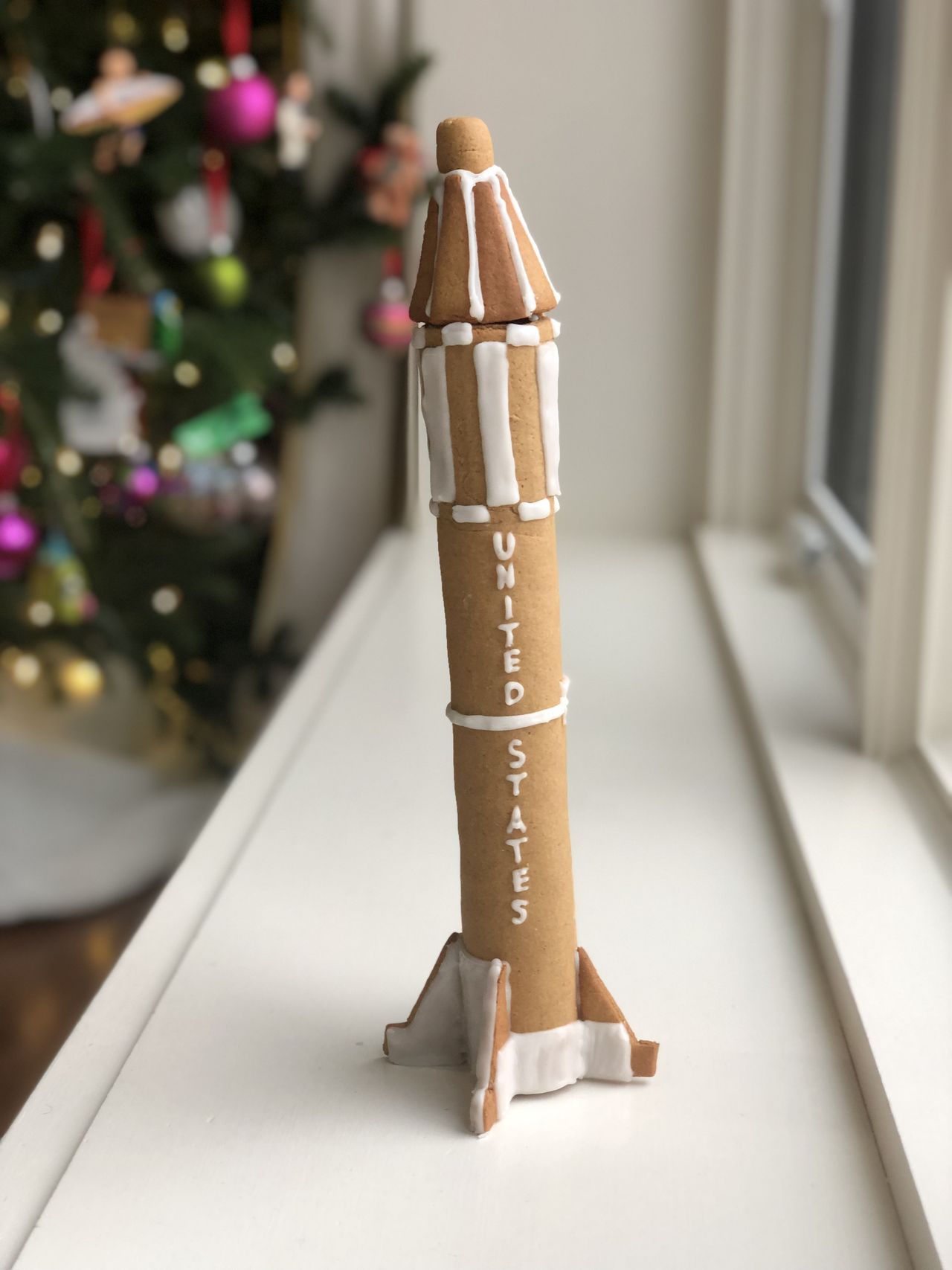 Author Rebecca Siegel's rocket cookies.