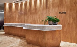 The oak reception desk and handmade timber wall behind, which introduces a diamond motif that appears throughout the studio.