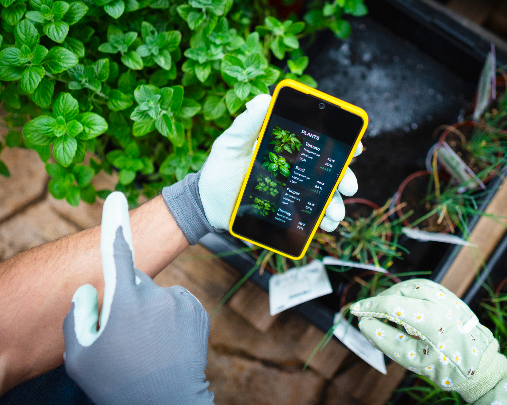 Man's hand holding phone with gardening app