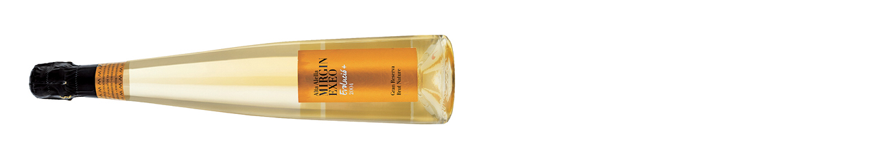 DEC305.dwwa_spread.03_alta_alella_mirgin_exeo_evolucio_cava_gran_reserva_brut_nature_catalonia_spain_2004.jpg