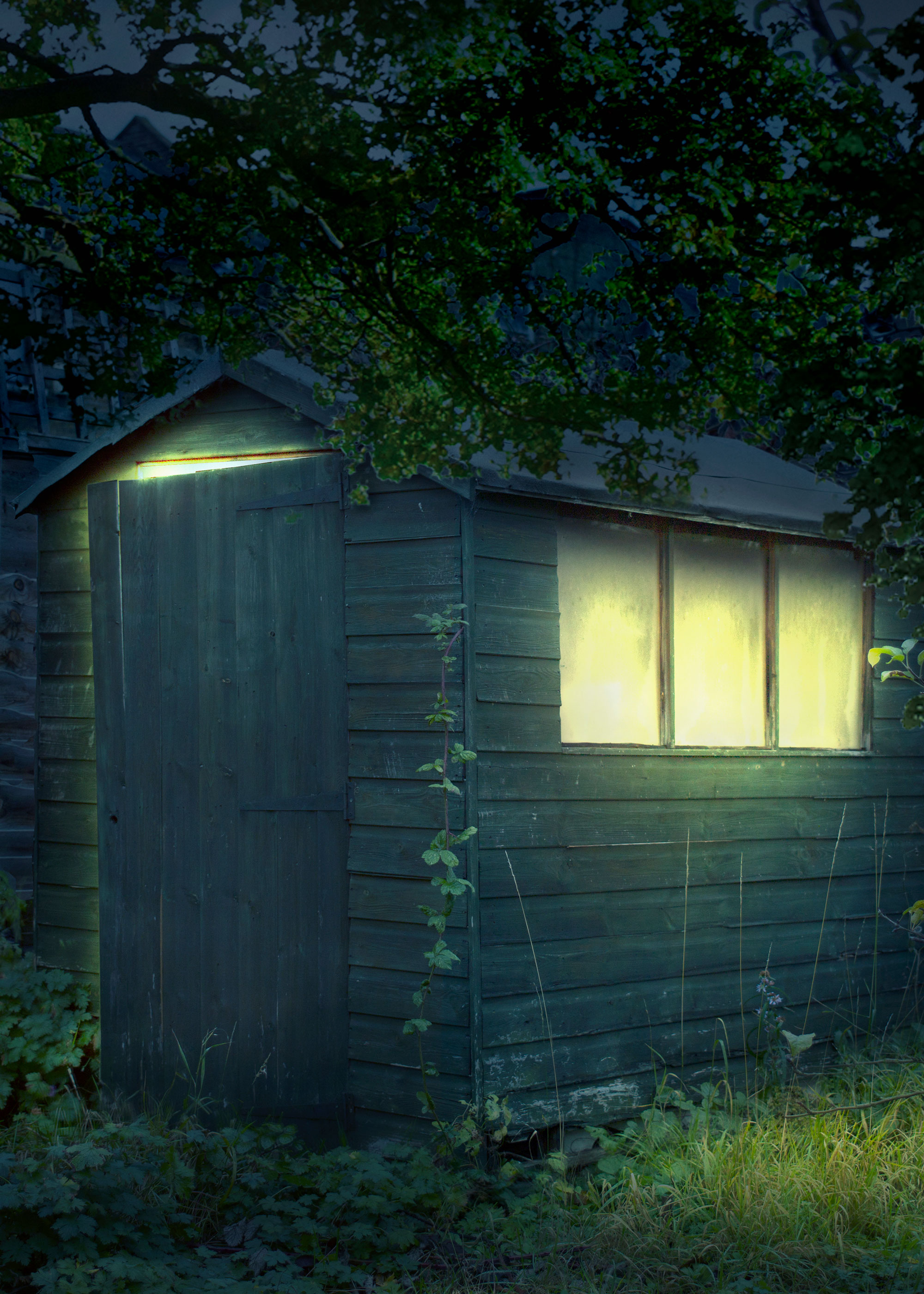 garden shed at night with lighting in a green garden