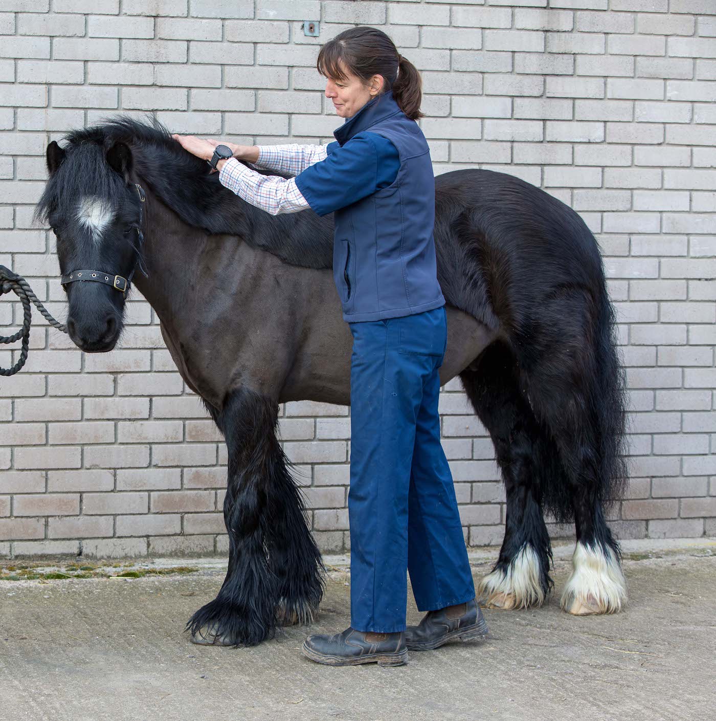 Anna-Hammond-and-World-Horse-Welfare-Dave-copy.jpeg