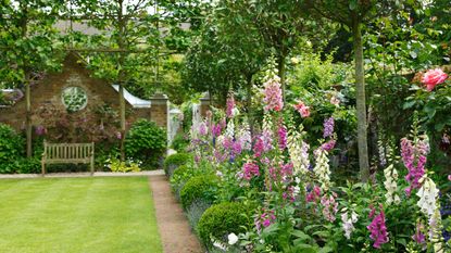 Long garden ideas with a deep bed of pink and white foxgloves and a wooden bench.