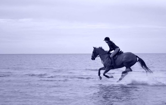 horsehenbeach.jpg
