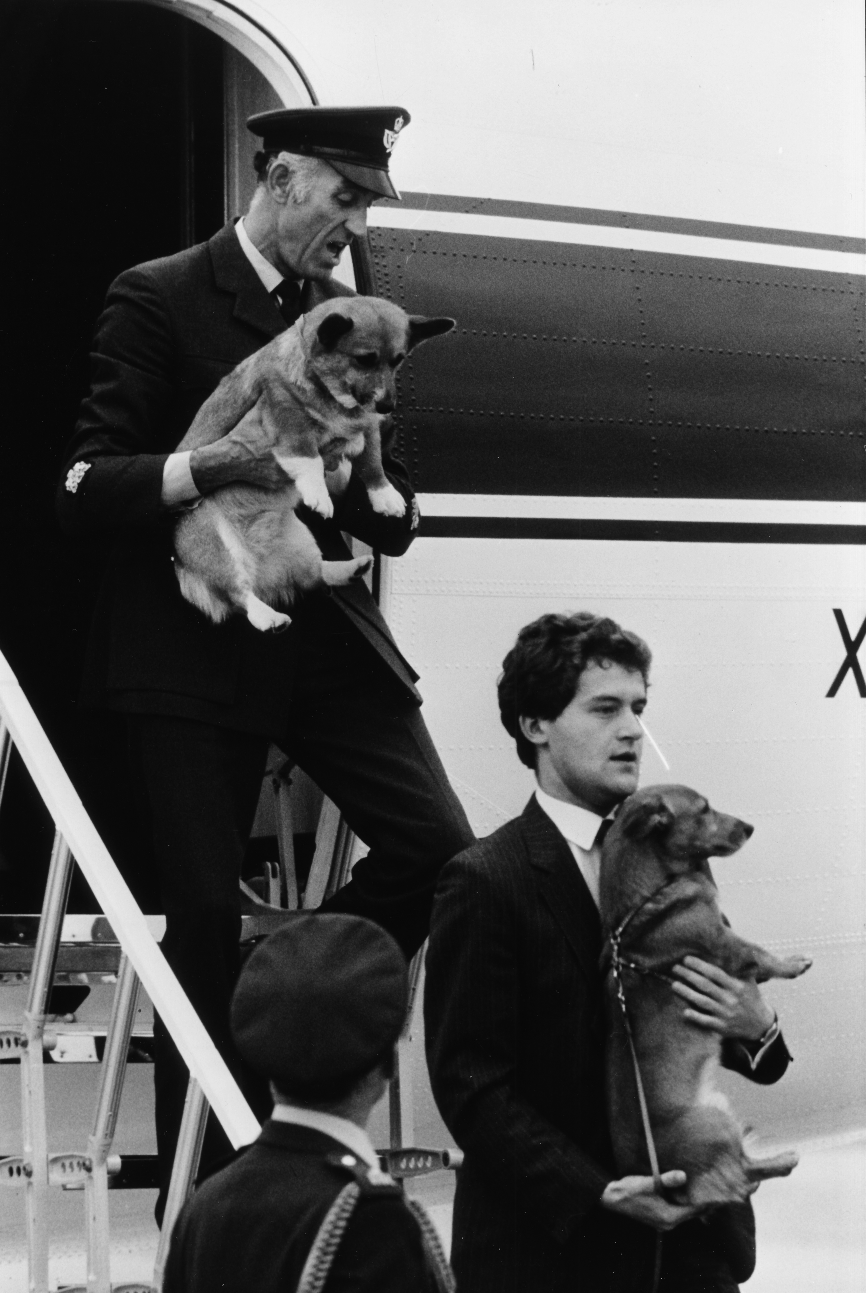 Elizabeth II&#039;s corgis being carried of a jet by two men in suits