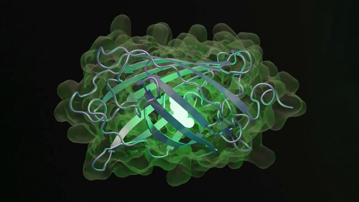 EvolutionaryScale&#039;s esmGPF protein visual representation