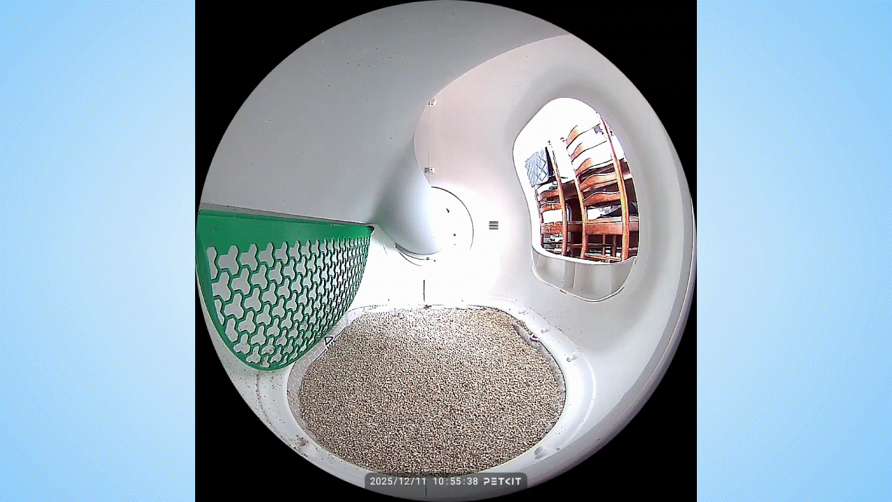 Cat using Petkit Purobot Max Pro 2.