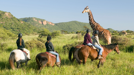 A group of riders on a lush African plain ride past a giraffe