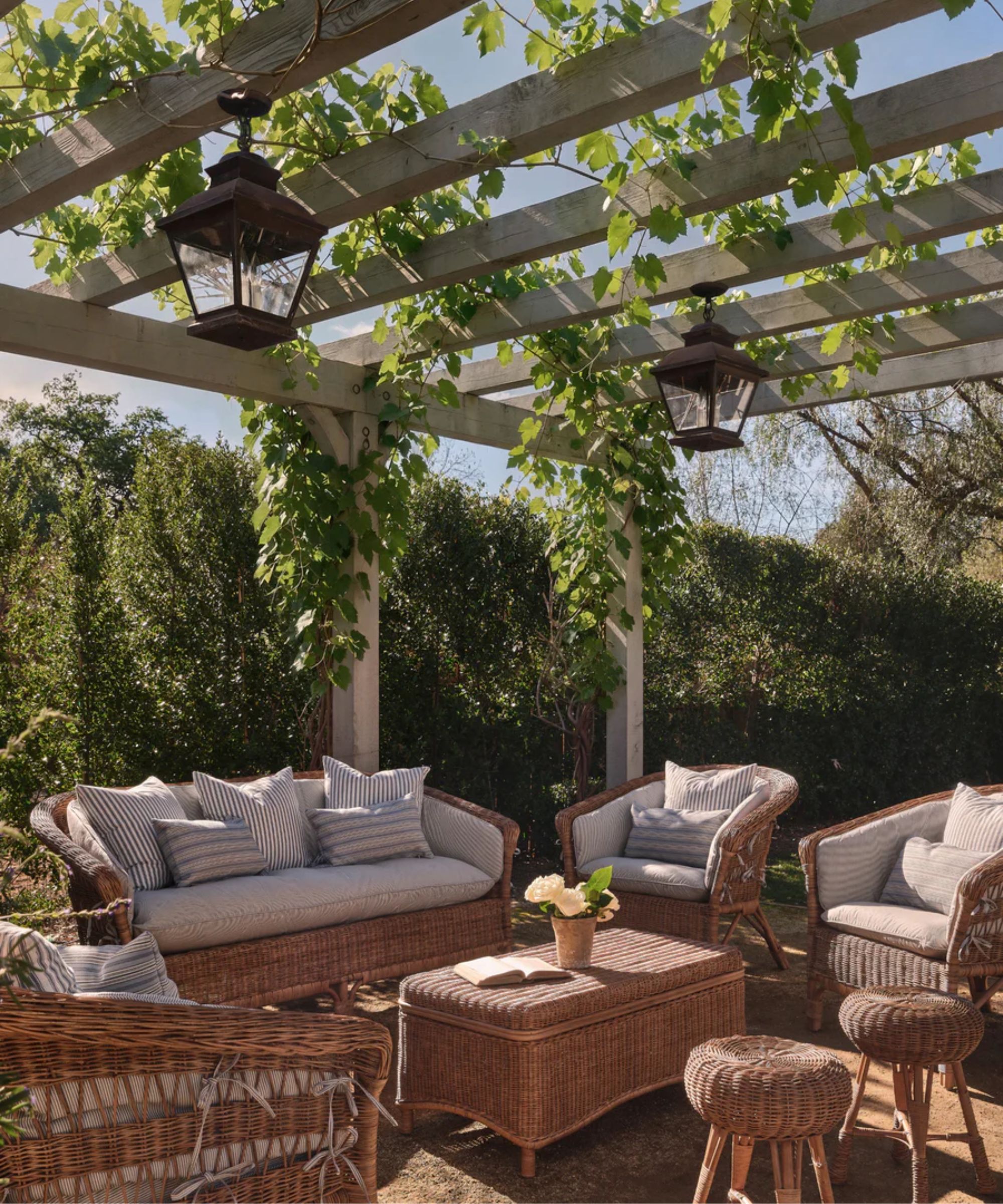 a garden area surrounded by tall hedge and a pergola over head with a collection of woven wicker furniture with blue ticking stripe cushions