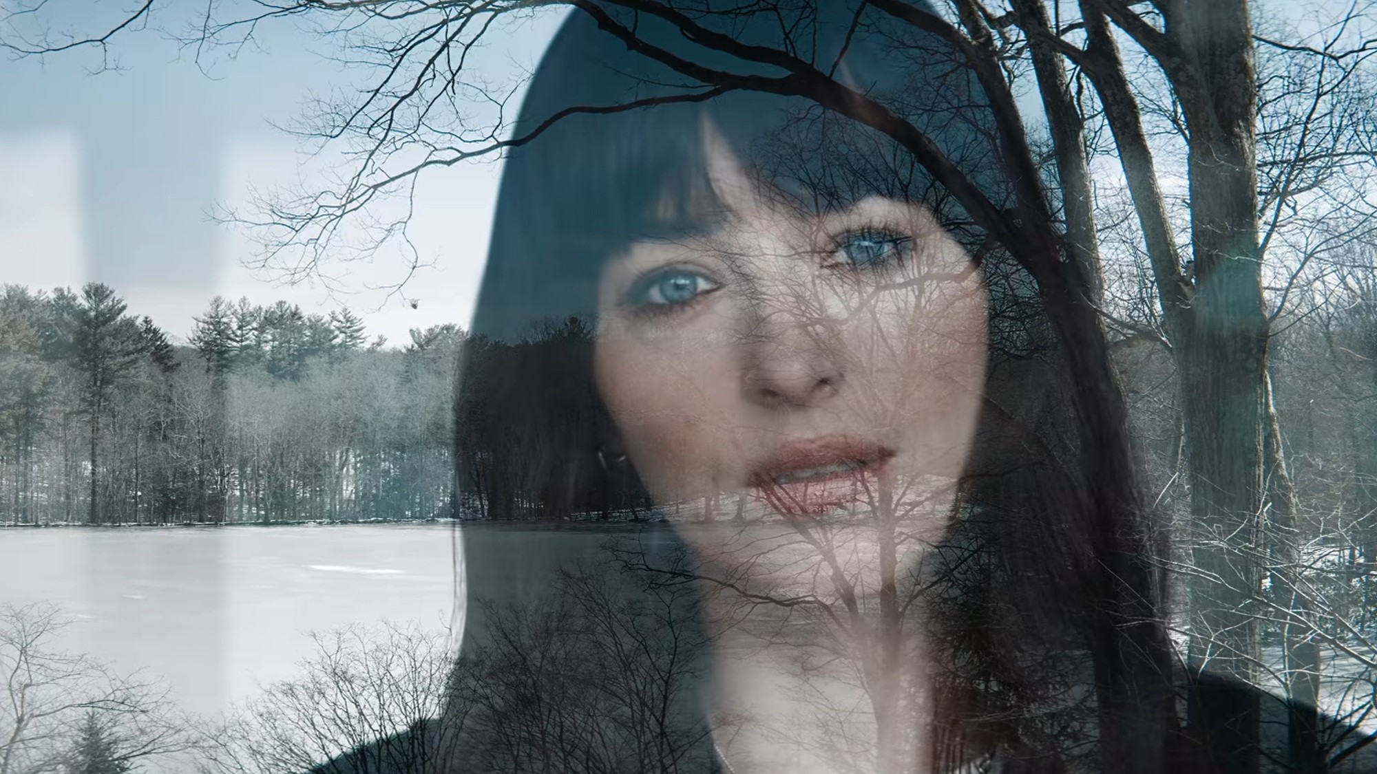Dakota Johnson looking out a window in Verity.