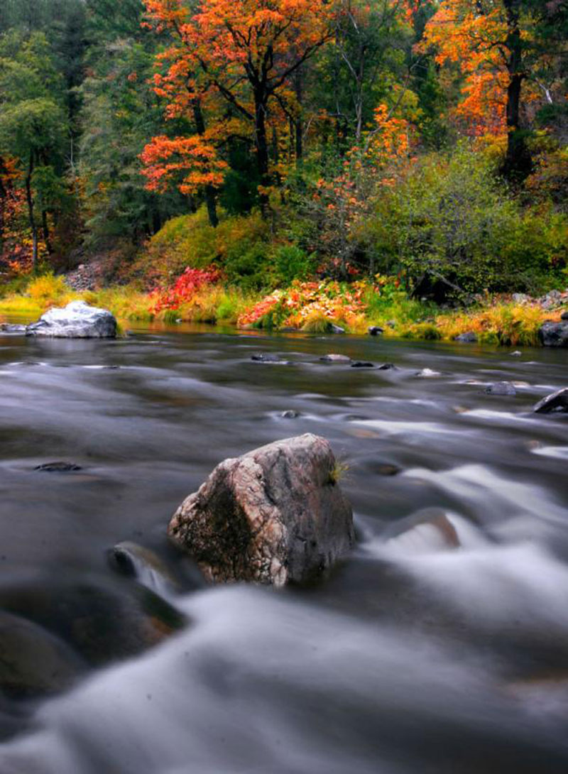 The colorful foliage of autumn
