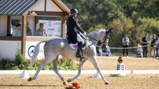 Maryland 5 Star dressage &ndash; Oliver Townend and Ballaghmor Class