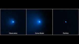 The Hubble Space Telescope has photographed comet Bernardinelli-Bernstein in January.