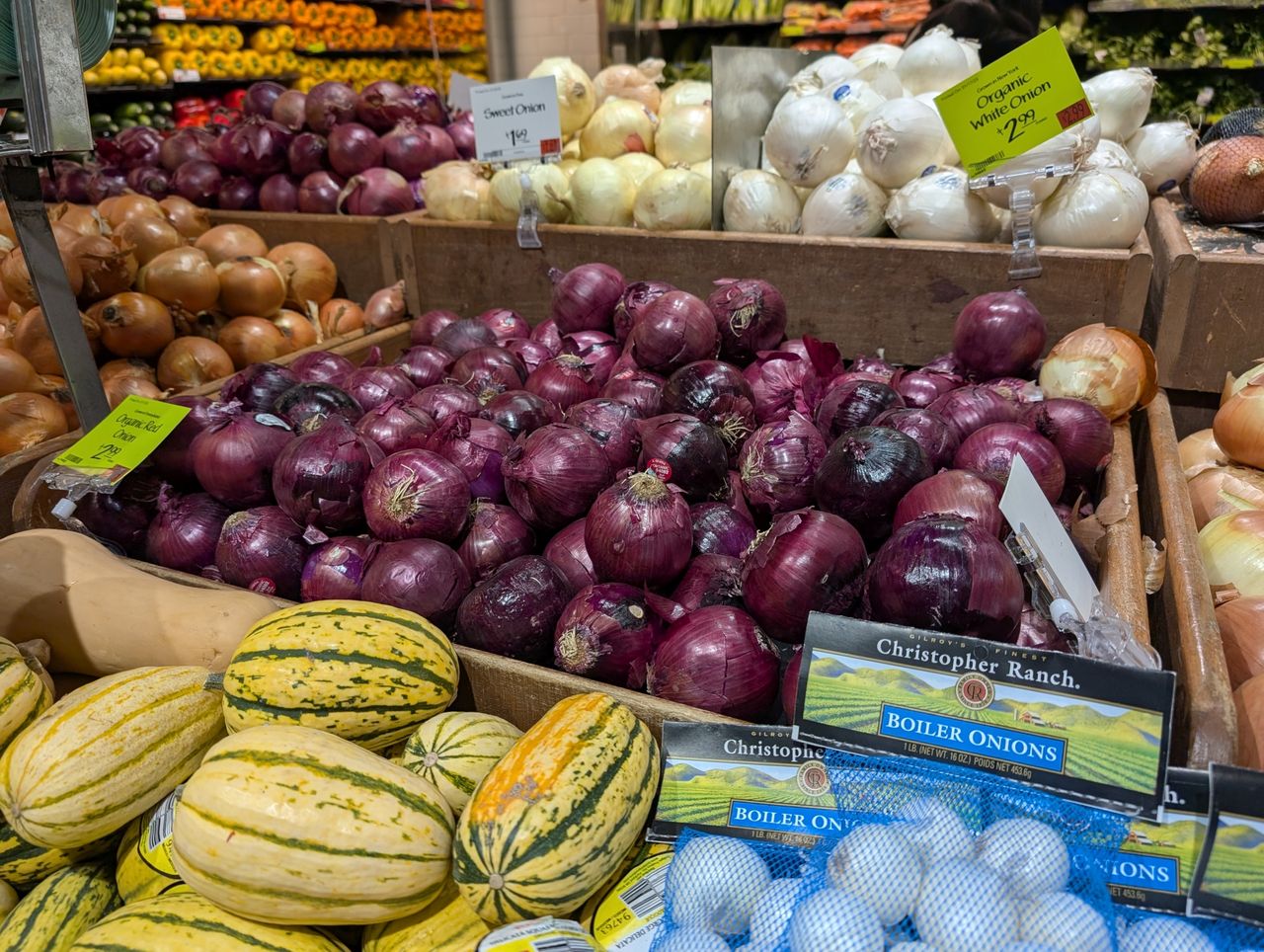 Google Pixel 9 Pro XL colors sample.