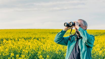 Senior man looking through binoculars amidst rapeseed field
