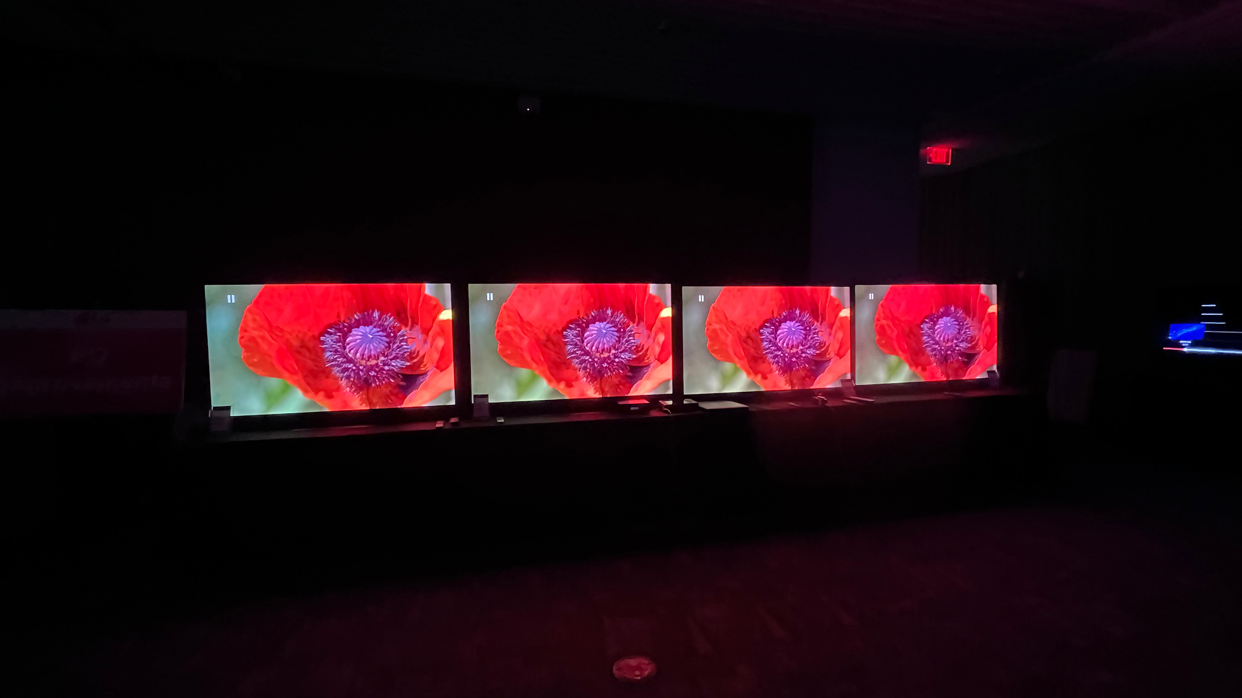 LG G4, LG G5, Samsung S95D, Sony A95L comparison with red flower on screen