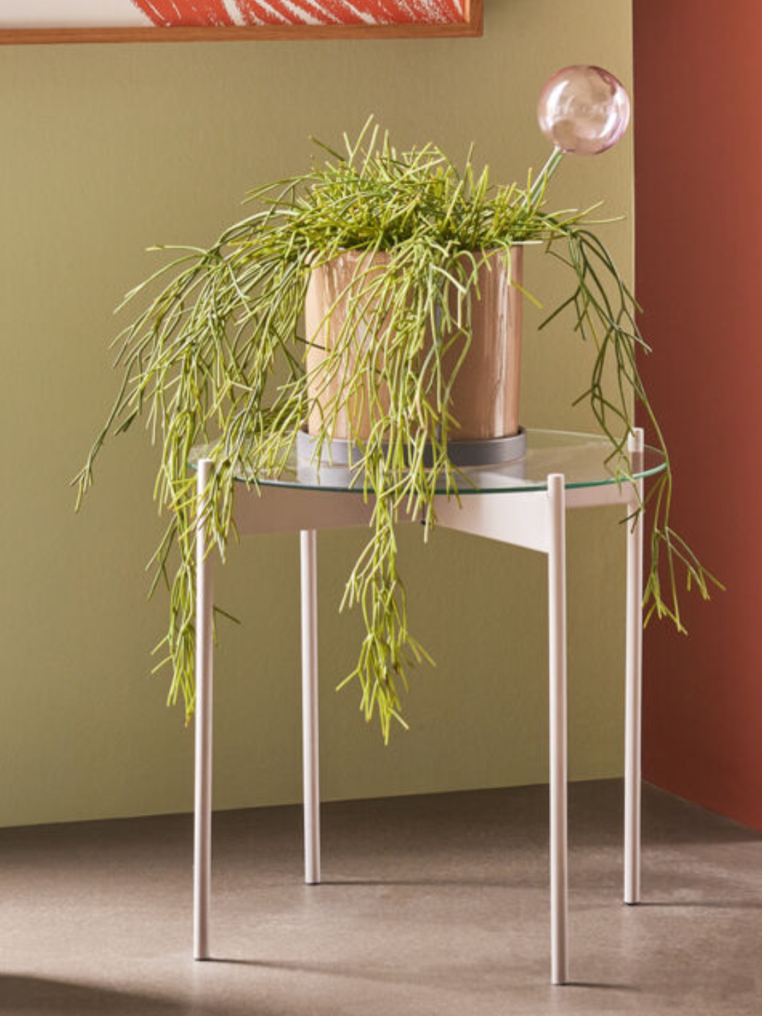 A potted trailing plant with a pink and green watering globe from H&amp;uuml;bsch