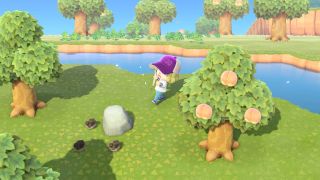 Animal Crossing New Horizons Ore