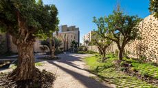 Garden at Bombas Gens, Valencia, part of Wallpaper's guide of what to see when you visit Valencia