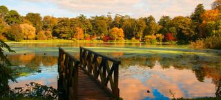 Autumn colour at Mount Stewart, Northern Ireland