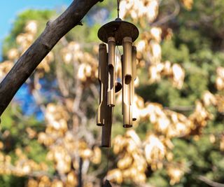 Bamboo windchimes