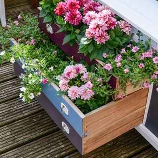 pink flower garden under chest of drawers