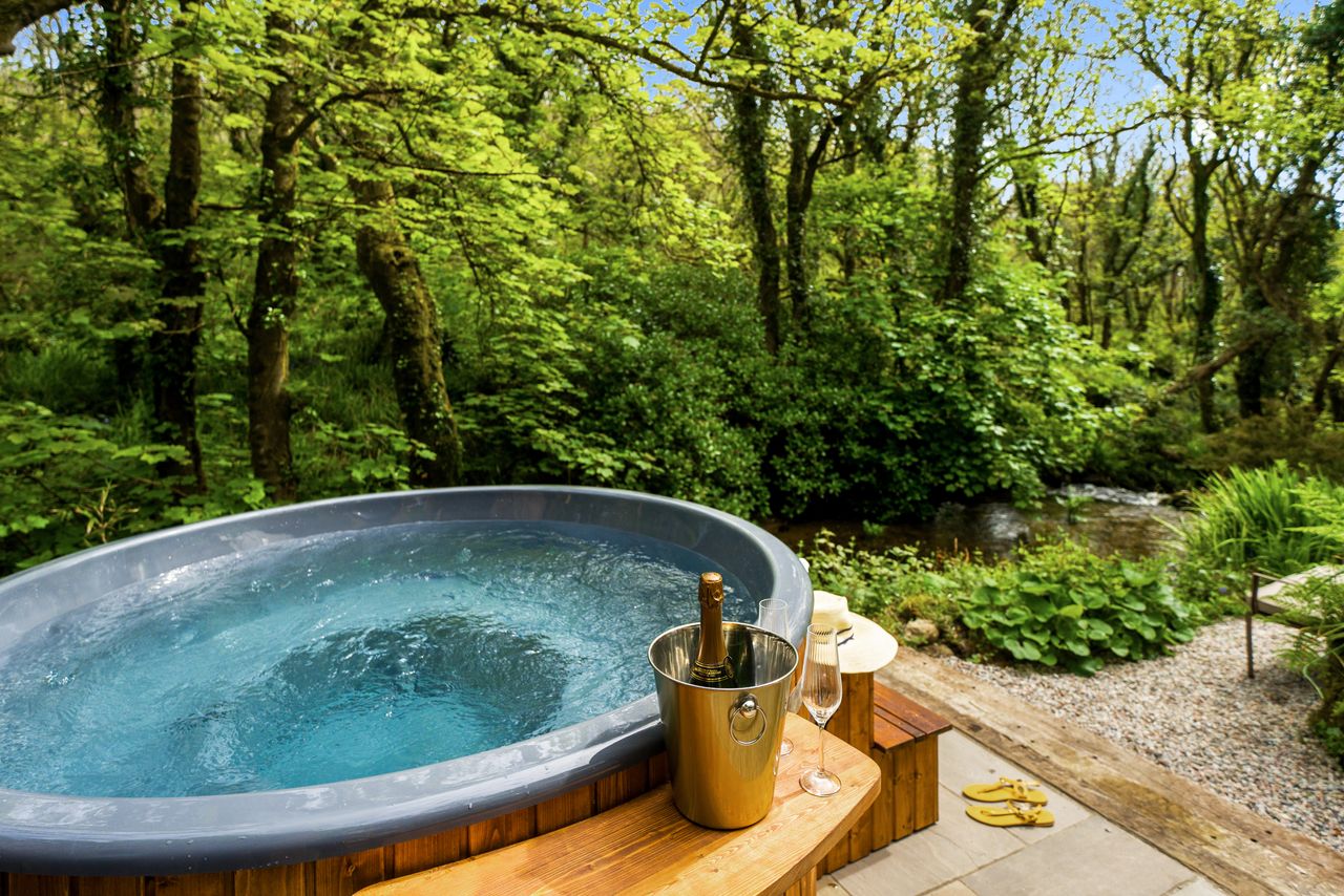 Birch Studio, hidden among the trees, near Lamorna Cove