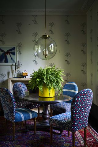 indoor plant ideas: fern on table