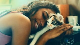 online cat quiz reveals your relationship with your feline