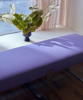 Purple upholstered bench in window designed by Fran Hickman