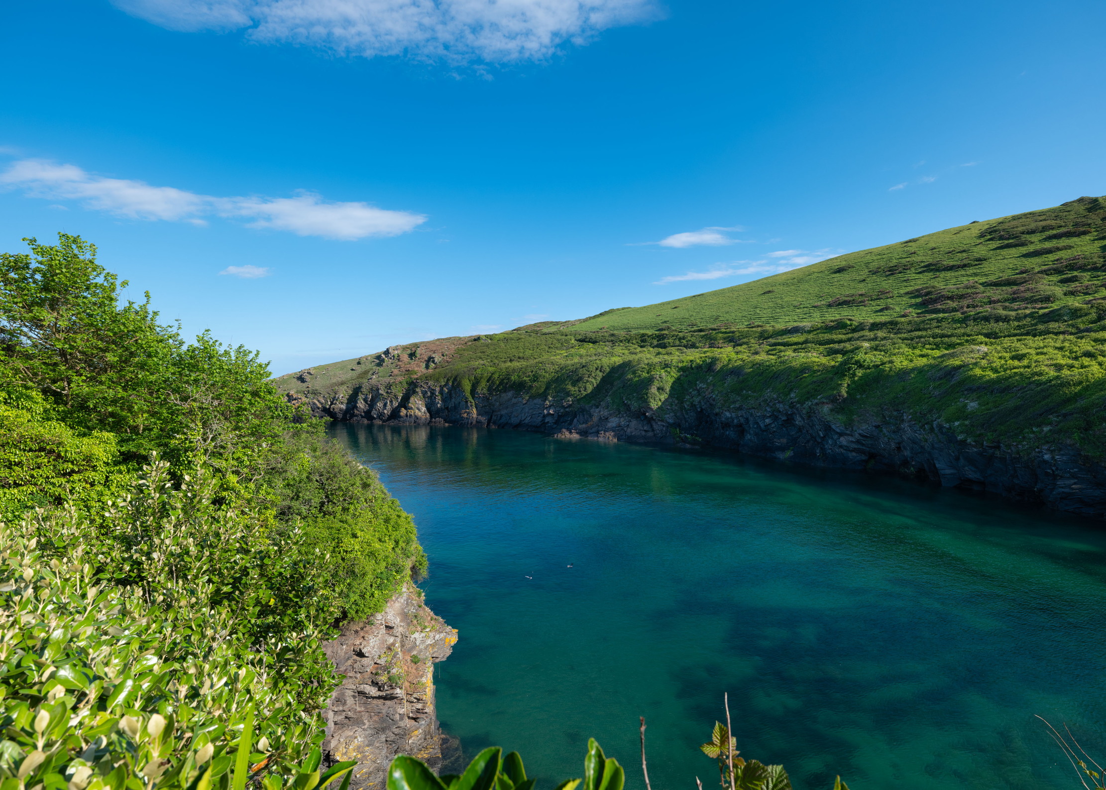 Images of the glorious cove-side home of Tregwyn in Cornwall