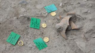 Four of the five gold coins and some ceramic remains lie on the ground at the excavation site.