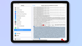 Screenshot of an iPad's Analytics Data settings, with red arrows pointing at a selected block of text and Copy. 