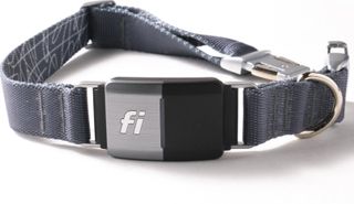 Fi dog collar 