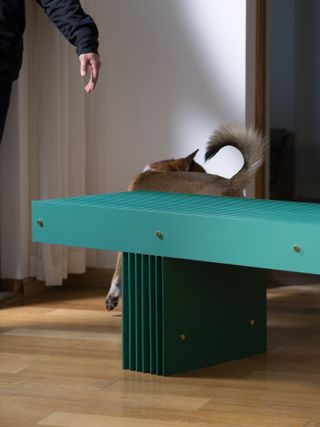 A green aluminium bench photographed in Mario Tsai's studio, visible is the designer's hand and his dog behind the bench