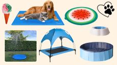 collage of cooling pet products for the heatwave