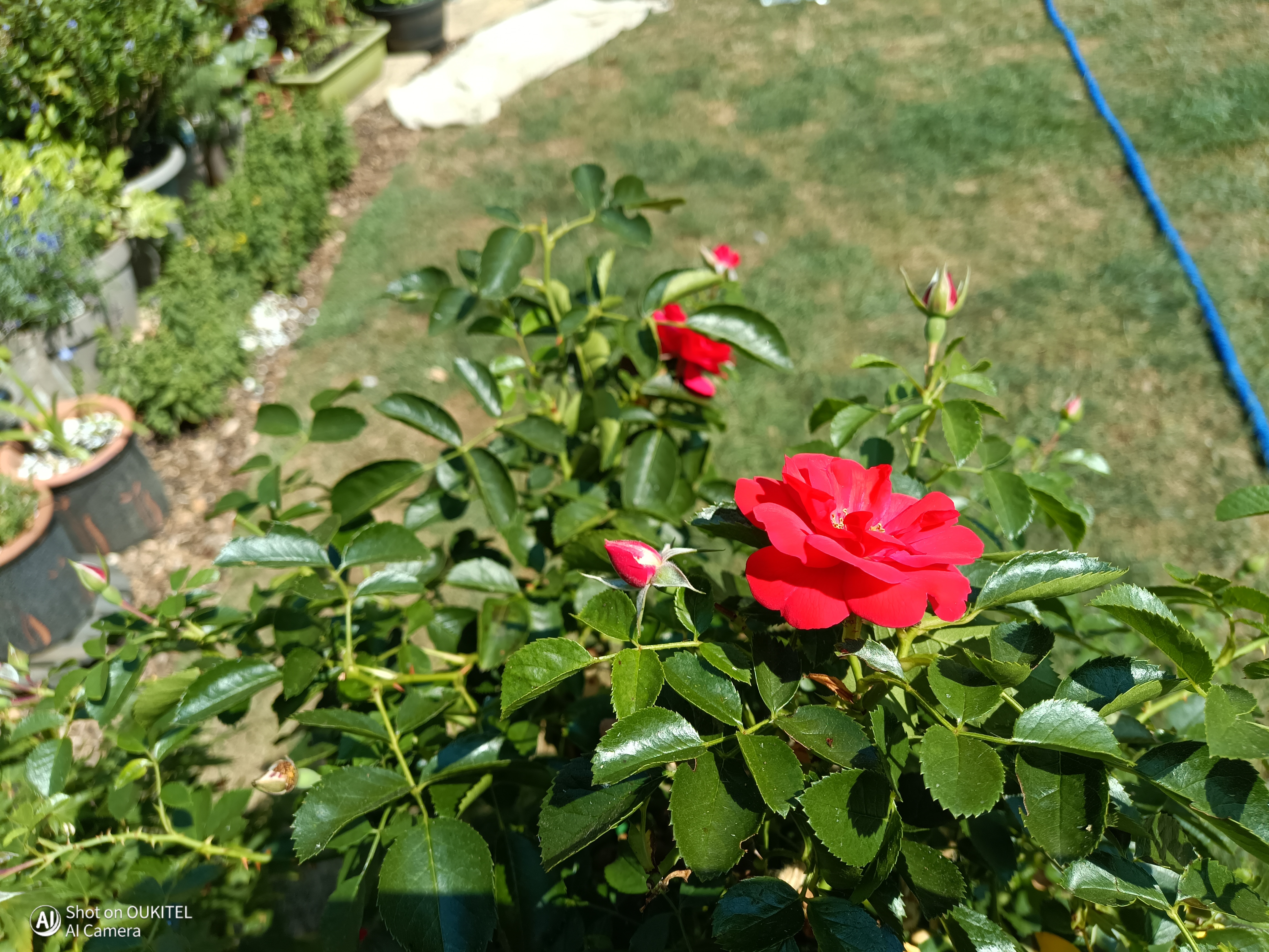 Oukitel WP68 Air Photo Examples