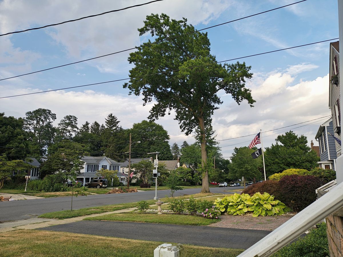 Motorola Razr Plus 2024 main camera sample.