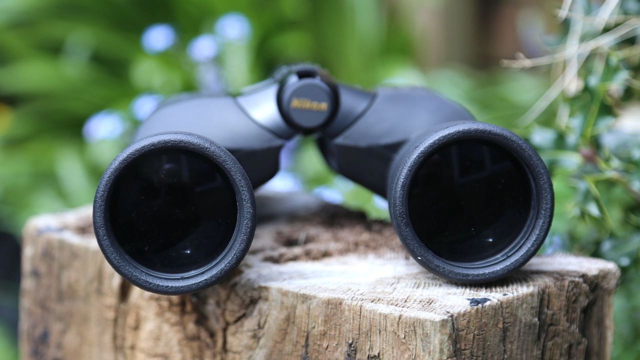 Nikon Action EX 12x50 binoculars