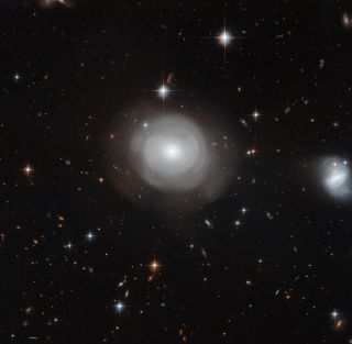 The ghostly shells of galaxy ESO 381-12 are captured here in a new image from the NASA/ESA Hubble Space Telescope, set against a backdrop of distant galaxies.