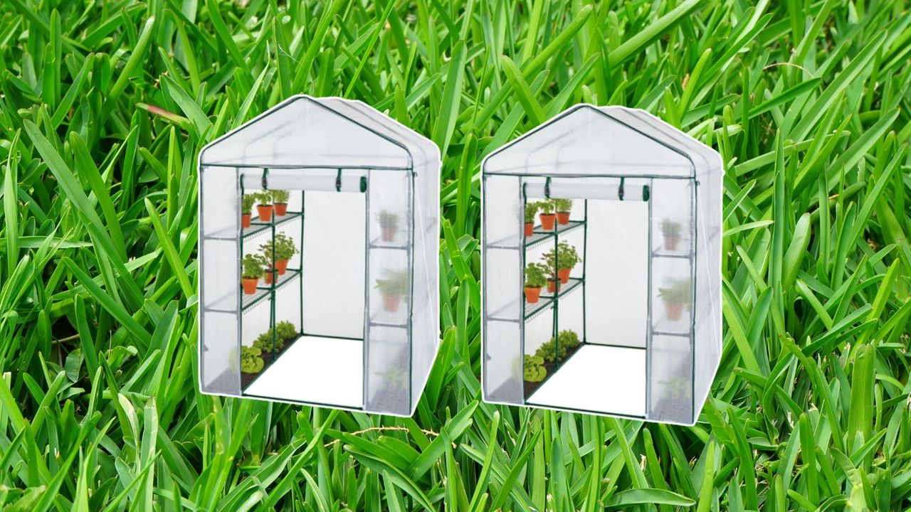 Lidl greenhouse, two, on a grassy green background